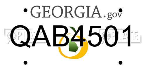 QAB4501 Georgia License Plate