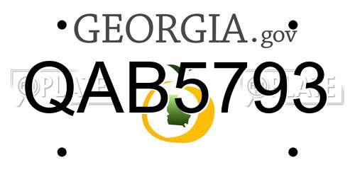 QAB5793 Georgia License Plate