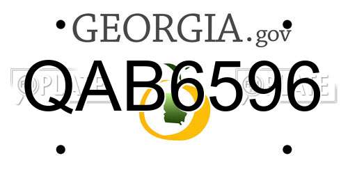 QAB6596 Georgia License Plate