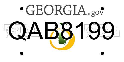 QAB8199 Georgia License Plate