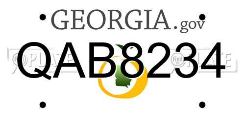QAB8234 Georgia License Plate