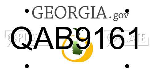 QAB9161 Georgia License Plate