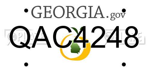 QAC4248 Georgia License Plate