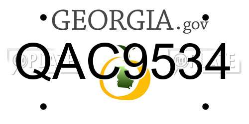 QAC9534 Georgia License Plate