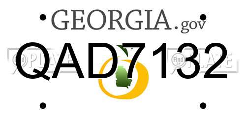 QAD7132 Georgia License Plate