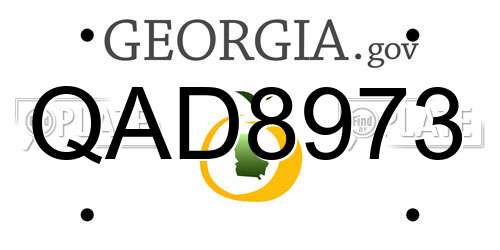QAD8973 Georgia License Plate