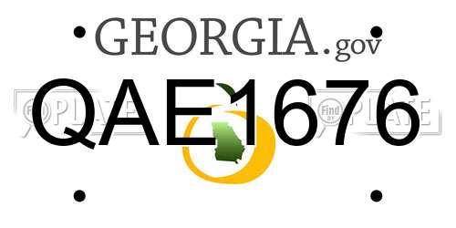 QAE1676 Georgia License Plate