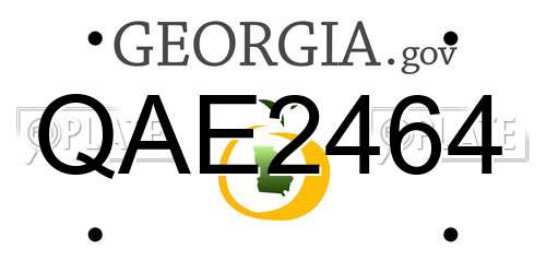 QAE2464 Georgia License Plate