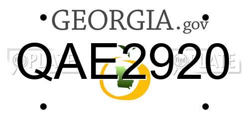 QAE2920 Georgia License Plate