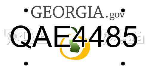 QAE4485 Georgia License Plate
