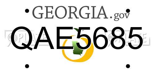 QAE5685 Georgia License Plate