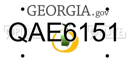 QAE6151 Georgia License Plate