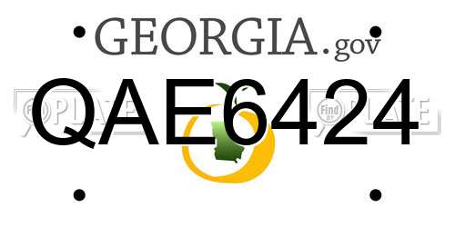 QAE6424 Georgia License Plate