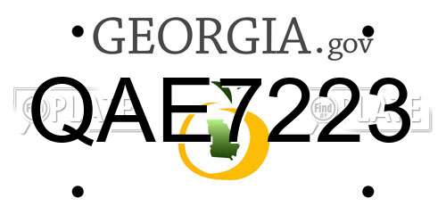 QAE7223 Georgia License Plate