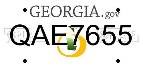 QAE7655 Georgia License Plate