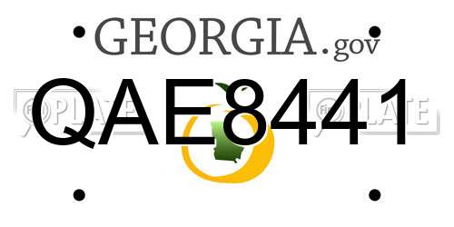 QAE8441 Georgia License Plate
