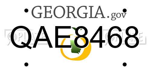 QAE8468 Georgia License Plate