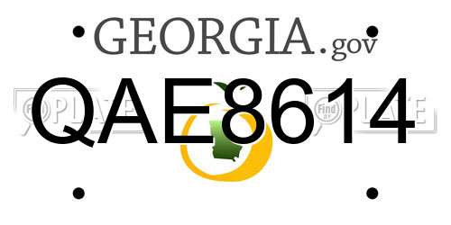 QAE8614 Georgia License Plate
