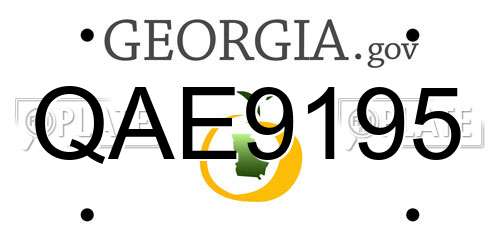 QAE9195 Georgia License Plate