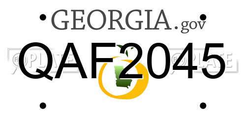 QAF2045 Georgia License Plate