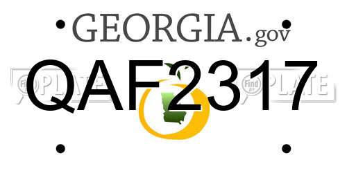 QAF2317 Georgia License Plate