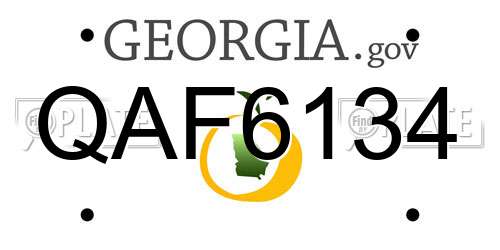 QAF6134 Georgia License Plate