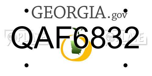QAF6832 Georgia License Plate