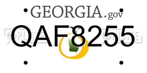 QAF8255 Georgia License Plate