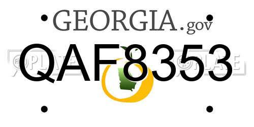 QAF8353 Georgia License Plate