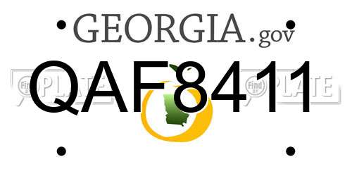 QAF8411 Georgia License Plate