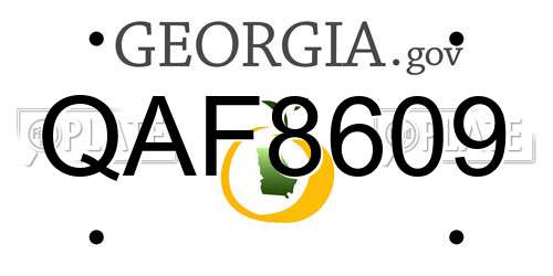 QAF8609 Georgia License Plate