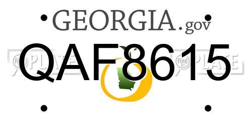 QAF8615 Georgia License Plate