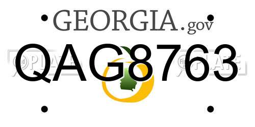 QAG8763 Georgia License Plate