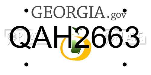 QAH2663 Georgia License Plate