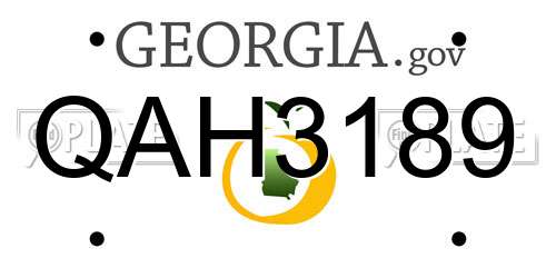 QAH3189 Georgia License Plate