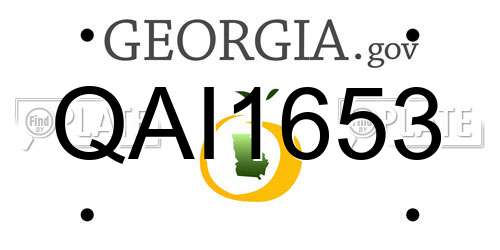 QAI1653 Georgia License Plate