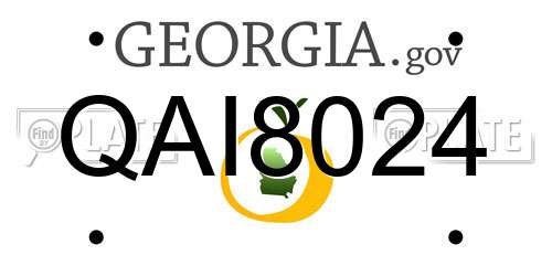 QAI8024 Georgia License Plate