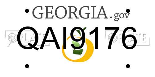 QAI9176 Georgia License Plate