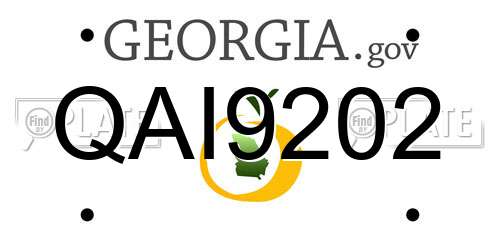 QAI9202 Georgia License Plate