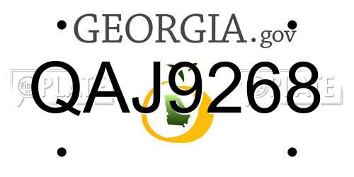 QAJ9268 Georgia License Plate