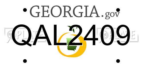 QAL2409 Georgia License Plate
