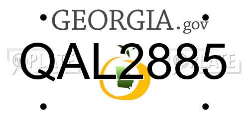 QAL2885 Georgia License Plate