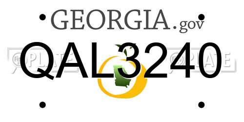 QAL3240 Georgia License Plate
