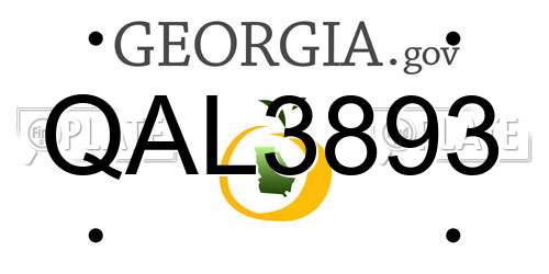 QAL3893 Georgia License Plate