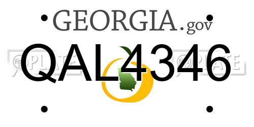 QAL4346 Georgia License Plate