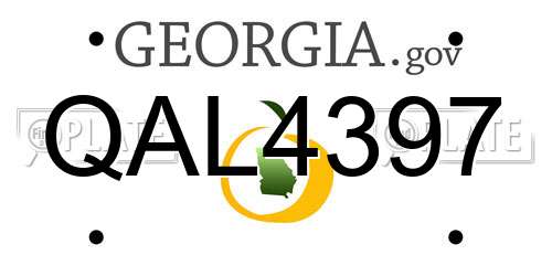 QAL4397 Georgia License Plate
