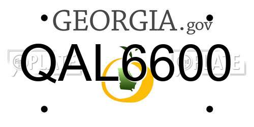 QAL6600 Georgia License Plate