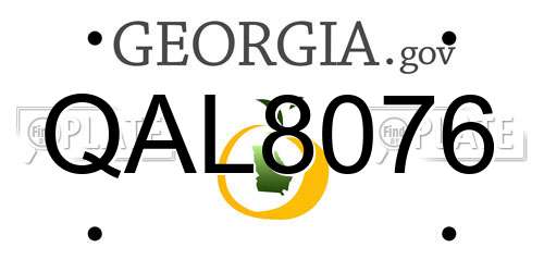 QAL8076 Georgia License Plate