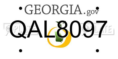 QAL8097 Georgia License Plate