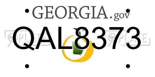 QAL8373 Georgia License Plate